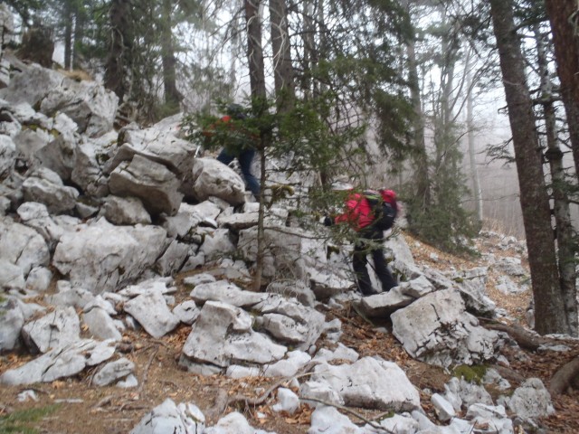 20170102 Snežnik,zimski pohod brez snega - foto