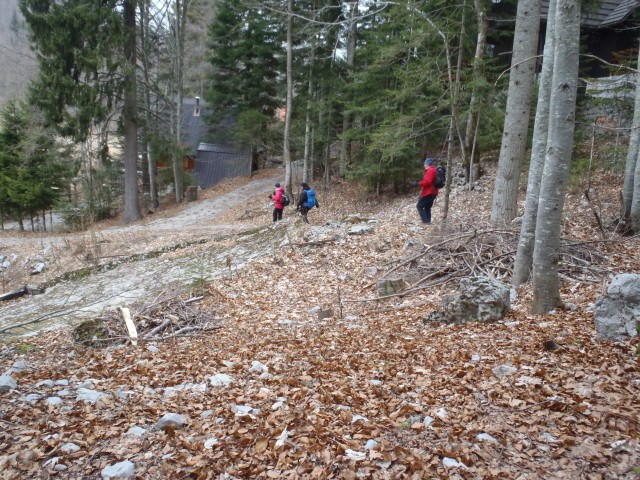 20170102 Snežnik,zimski pohod brez snega - foto