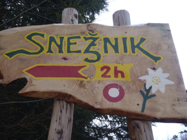 20170102 Snežnik,zimski pohod brez snega - foto