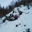 Pot proti Domu na Okrešlju