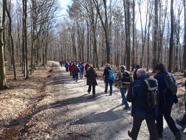 20170226 Memor.Delavec-Žižek - Hanc - foto