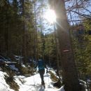 Nadaljnja pot proti Planini Bistrica/Hutte Oisternig
