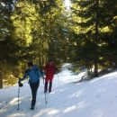 Pot proti Planini Bistrica/Hutte Oisternig