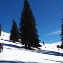 Pot proti Planini Bistrica/Hutte Oisternig