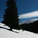 Pot proti Planini Bistrica/Hutte Oisternig