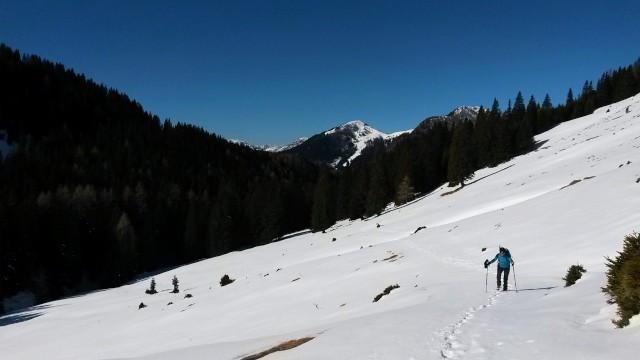 Pot proti Planini Bistrica/Hutte Oisternig