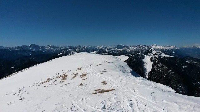 Razgled z vrha Ojstrnika na Karnijske Alpe