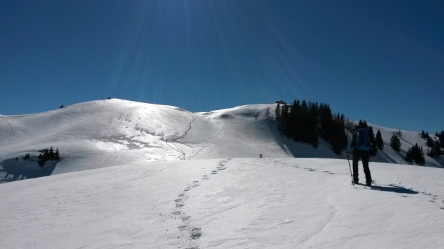 Vzpon na Gozman