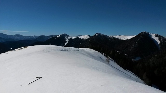 Razgled z vrha Gozmana na Karnijske Alpe