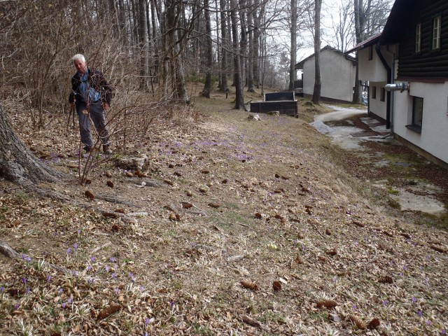 20170318 Kal-Mrzlica in Slomnik - krožni poti - foto