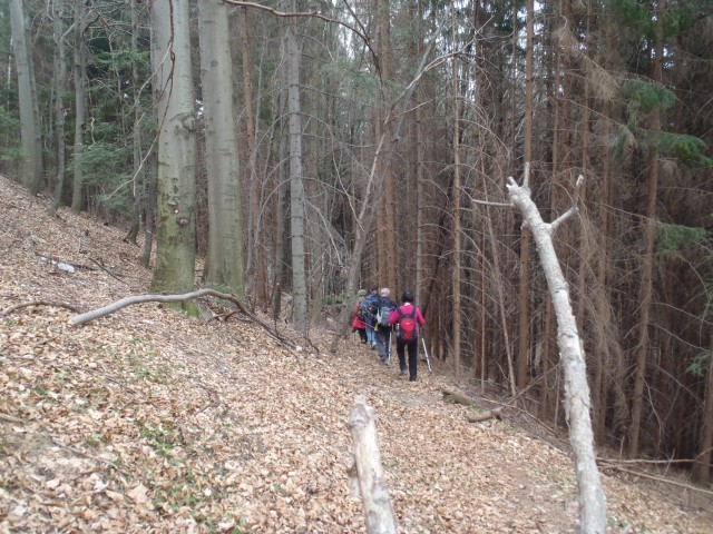 20170318 Kal-Mrzlica in Slomnik - krožni poti - foto