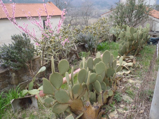 20170322 Tinjan-Osp-Socerb in nazaj - foto