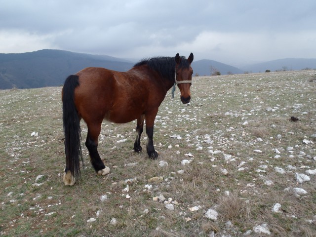 20170322 Tinjan-Osp-Socerb in nazaj - foto