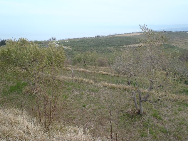 20170323 Šared-Baredi-Strunjan - foto