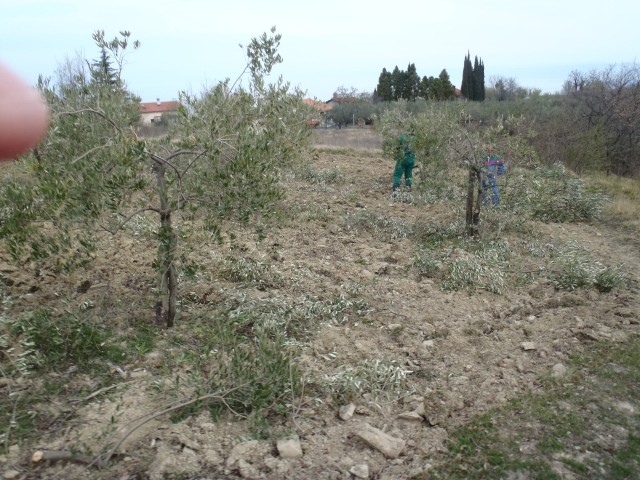 20170323 Šared-Baredi-Strunjan - foto