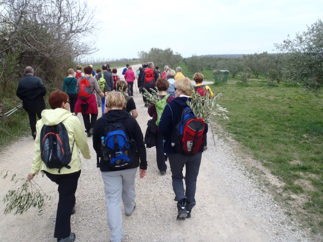20170323 Šared-Baredi-Strunjan - foto