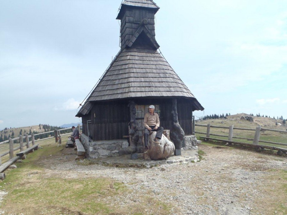 201770413 Velika planina v cvetju - foto povečava