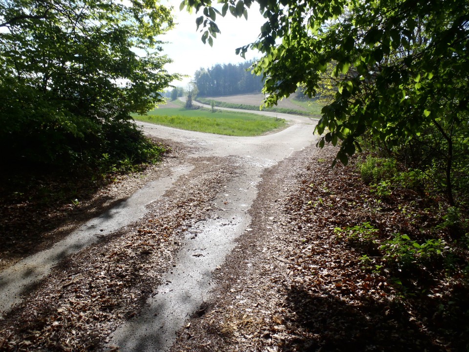 Ob prihodu iz gozda se asfalt konča, zavij levo po cesti.
