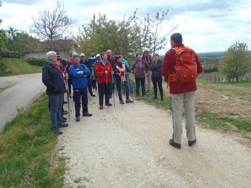 20170417 Po čentibskih goricah - foto povečava