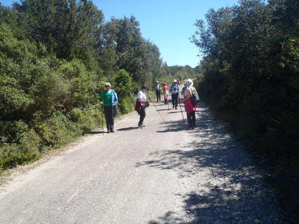 29.04.2017-02.05.2017 Dugi otok - foto povečava