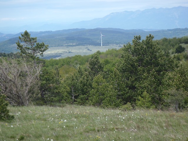 20170510 Vremščica Gornje Ležeče-Divača - foto