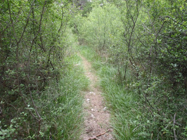 20170510 Vremščica Gornje Ležeče-Divača - foto