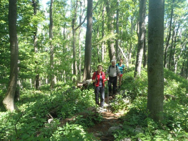 20150525 Donačka in Boč - foto