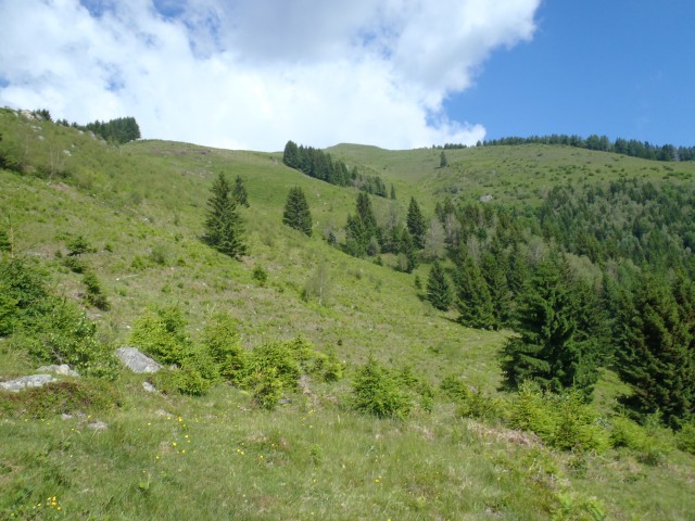 20170611 G.Grad-Lepenatka-V.Rogatec-Špeh-G-Gr - foto