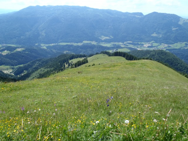 20170611 G.Grad-Lepenatka-V.Rogatec-Špeh-G-Gr - foto