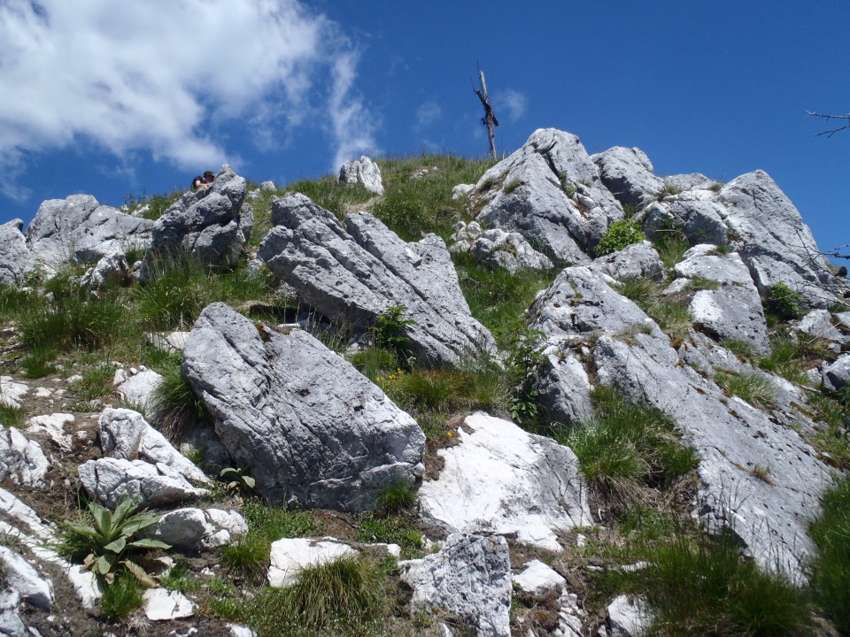 20170611 G.Grad-Lepenatka-V.Rogatec-Špeh-G-Gr - foto povečava