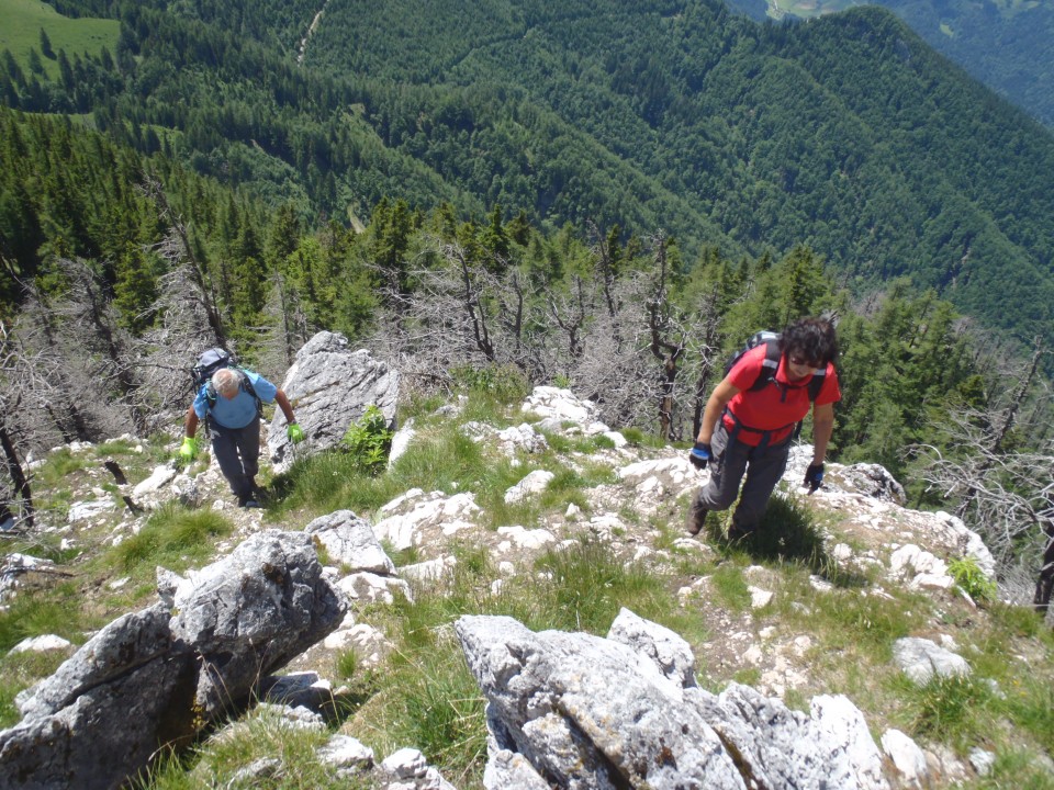 20170611 G.Grad-Lepenatka-V.Rogatec-Špeh-G-Gr - foto povečava