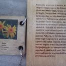 Ob drugi klopi.