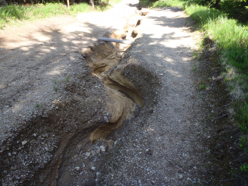 20170627 Ribniška koča-Črni vrh-Kope - foto povečava