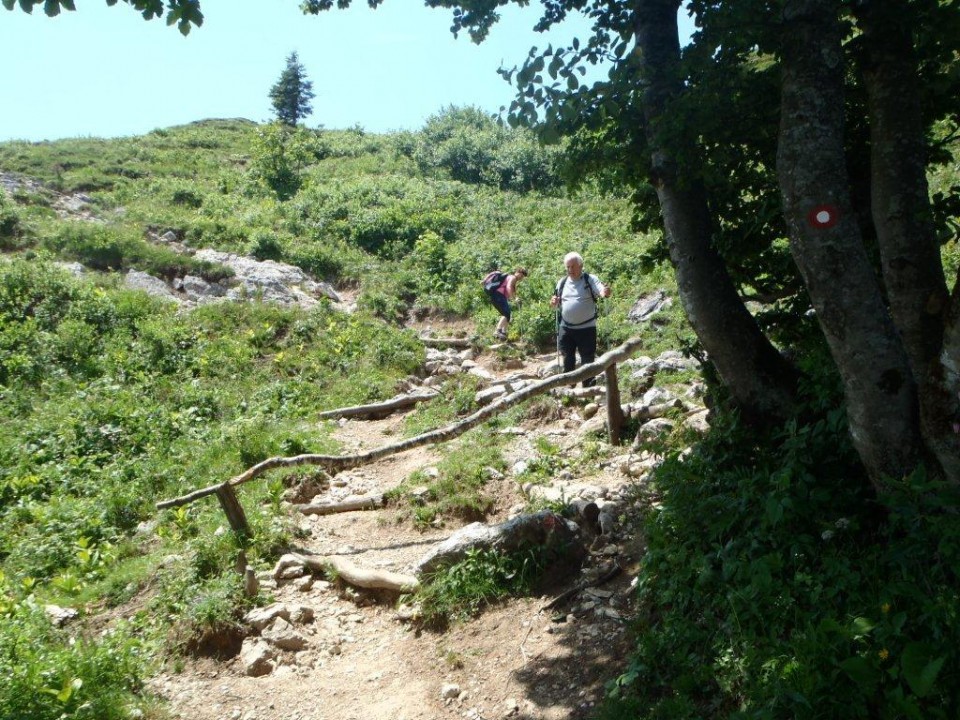 20170626 Ratitovec iz Prtovč - foto povečava