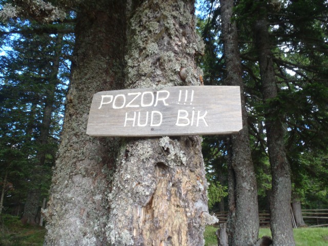 Pa ni bilo res.