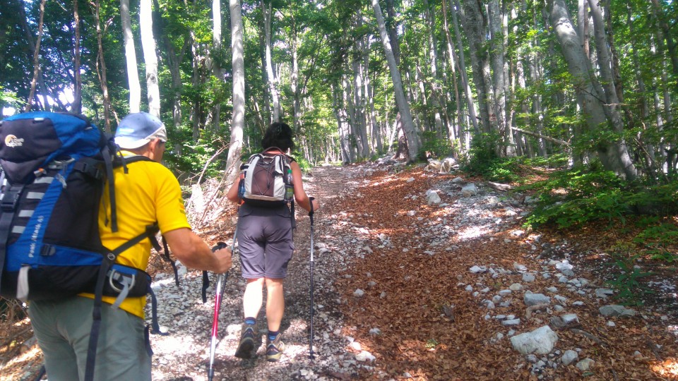 20170709 Dobrča in Begunjščica - foto povečava