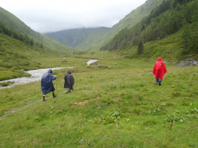 Pot in okolica - slapovi od koče do izvira Mure.