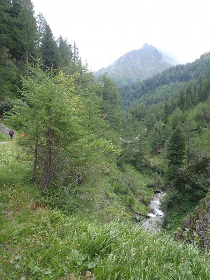 Pot in okolica - slapovi od koče do izvira Mure.