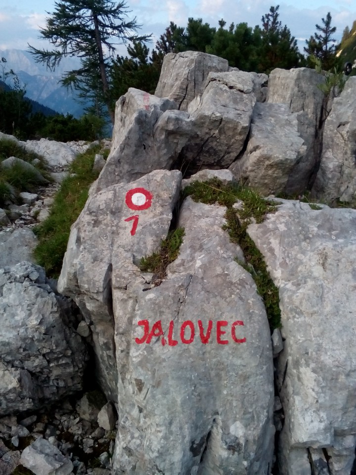 20170722 Jalovec Vršič-Goličica-Jalov.-Špička - foto povečava