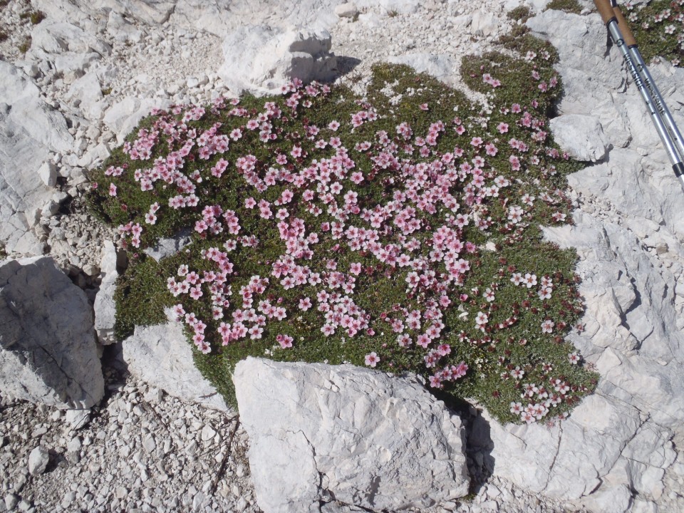 20170802 Stanič-VVŠ-Kredarica-Triglav-Dolič - foto povečava