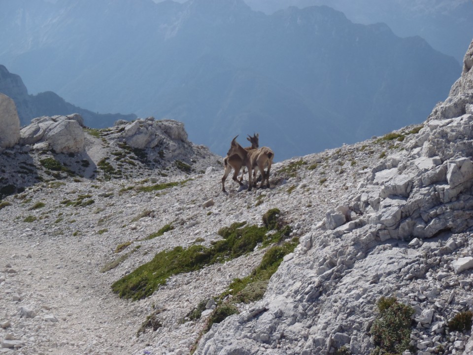 20170802 Stanič-VVŠ-Kredarica-Triglav-Dolič - foto povečava