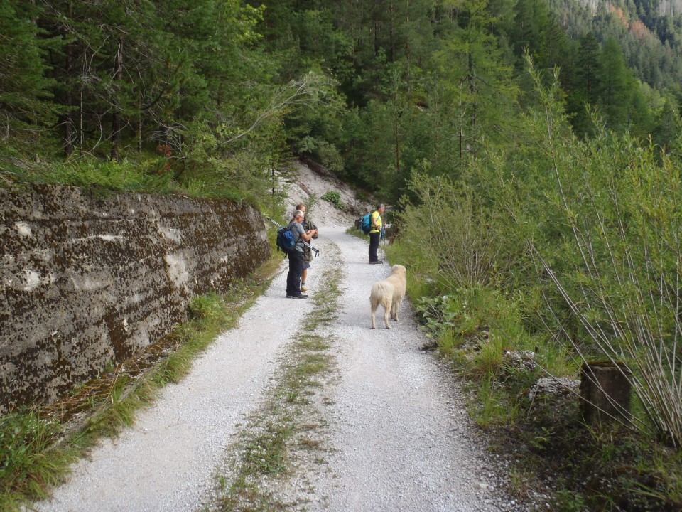 Cesta proti zapornici.