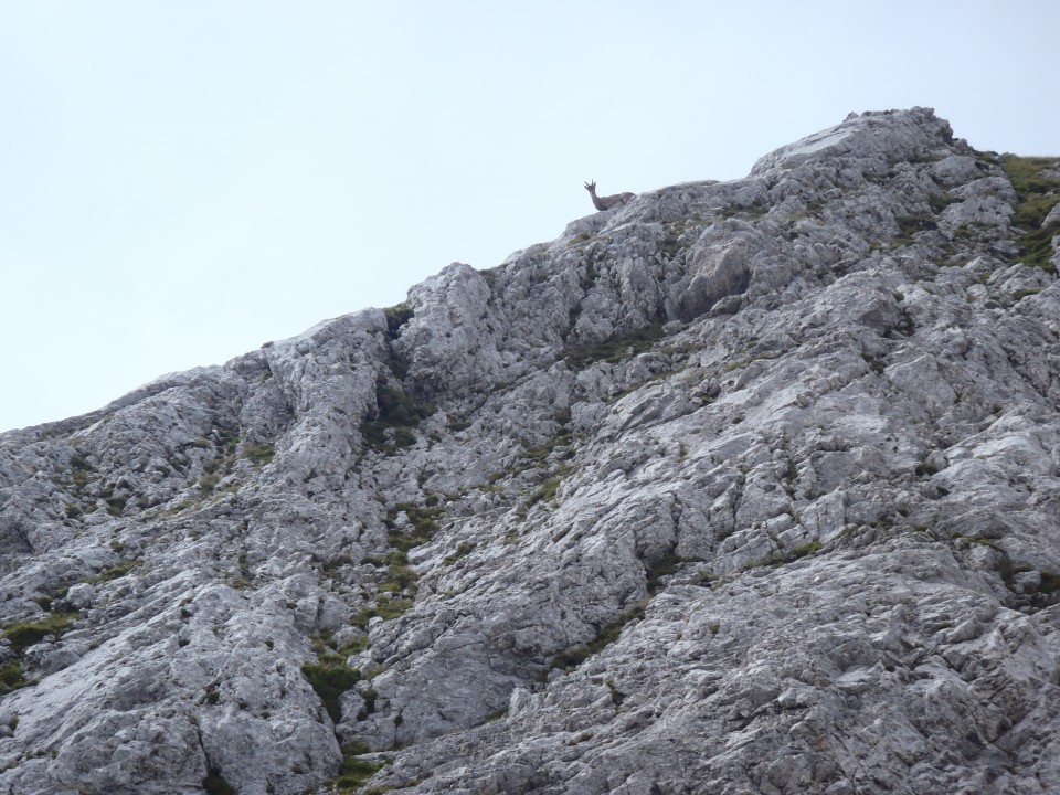 20170823 Prisojnik Hanzova - zadnje okno - foto povečava