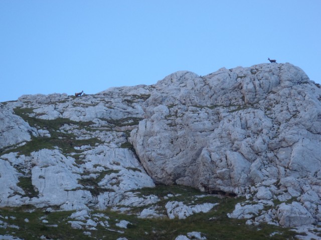 Na skalah Dolcev so razvrščeni opazovalci.
