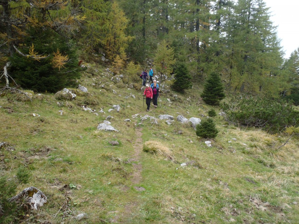 Kotlinica med Dobrča-vrh in Šentanskim vrhom - razgledno točko.