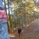 Spet spust v sedlo med Koprivnikom in Mladim vrhom.