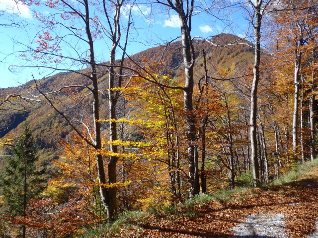 20171007 Romovec,Koprivnik,Mladi vrh, Blegoš - foto