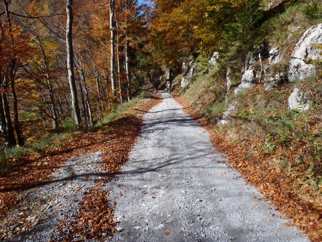 20171007 Romovec,Koprivnik,Mladi vrh, Blegoš - foto