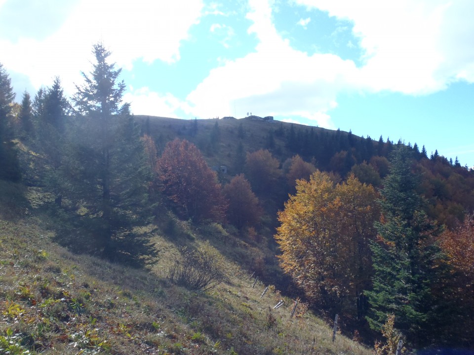 Vrh Blegoša.