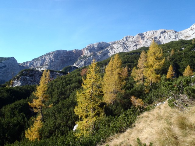 Lovska pot.